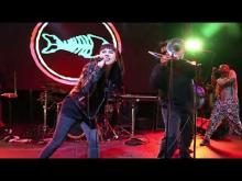 Preview image for the video "2024-12-20 Fishbone @ Garden Amp - Garden Grove - CA United States (video-21652)".