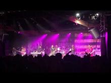 Preview image for the video "2019-08-08 Fishbone @ Showbox - Seattle - WA United States (video-3060)".