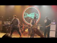 Preview image for the video "2023-12-15 Fishbone @ Goldfield Trading Post - Roseville - CA United States (video-20925)".