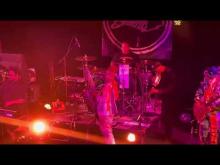 Preview image for the video "2023-08-16 Fishbone @ State Theatre - Falls Church - VA United States (video-20553)".