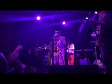 Preview image for the video "2017-03-22 Fishbone @ The Sinclair - Cambridge - MA United States (video-2948)".