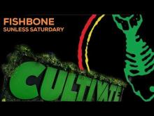 Preview image for the video "2023-08-27 Fishbone @ The Nursery - Chicago - IL United States (video-20756)".