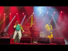 Preview image for the video "2023-08-17 Fishbone @ MGM Music Hall - Boston - MA United States (video-20570)".