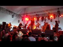 Preview image for the video "2010-06-05 Fishbone @ Wakarusa Festival - Ozark - AR United States (video-2537)".