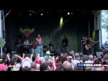 Preview image for the video "2013-07-28 Fishbone @ Gathering of The Vibes - Bridgeport - CT United States (video-2587)".