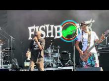 Preview image for the video "2021-09-17 Fishbone @ Riot Fest &amp; Carnival - Chicago - IL United States (video-22236)".