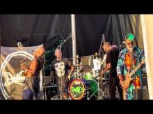 Preview image for the video "2023-08-25 Fishbone @ Holliday Park - Indianapolis - IN United States (video-21991)".