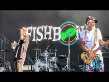 Preview image for the video "2021-09-17 Fishbone @ Riot Fest &amp; Carnival - Chicago - IL United States (video-21999)".