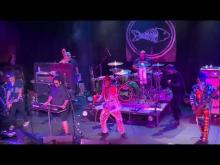 Preview image for the video "2023-08-16 Fishbone @ State Theatre - Falls Church - VA United States (video-20564)".
