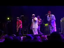 Preview image for the video "2024-06-29 Fishbone @ Lena Horne Bandshell - Brooklyn - NY United States (video-21509)".