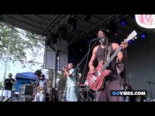 Preview image for the video "2013-07-28 Fishbone @ Gathering of The Vibes - Bridgeport - CT United States (video-2589)".