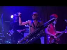 Preview image for the video "2023-08-13 Fishbone @ The Ardmore Music Hall - Ardmore - PA United States (video-20539)".