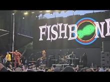 Preview image for the video "2024-06-08 Fishbone @ Pomona Fairplex - Pomona - CA United States (video-21466)".