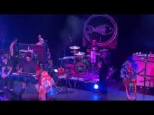 Preview image for the video "2023-08-16 Fishbone @ State Theatre - Falls Church - VA United States (video-20551)".