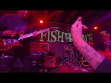 Preview image for the video "2024-12-23 Fishbone @ Crescent Ballroom - Phoenix - AZ United States (video-21673)".