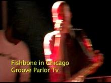 Preview image for the video "2011-12-10 Fishbone @ Bottom Lounge - Chicago - IL United States (video-2333)".