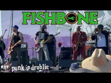 Preview image for the video "2024-10-06 Fishbone @ Berth 46 - San Pedro - CA United States (video-21574)".