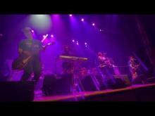 Preview image for the video "2023-08-06 Fishbone @ House of Blues - Houston - TX United States (video-20508)".
