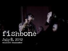 Preview image for the video "2012-07-07 Fishbone @ The Beachcomber - Wellfleet - MA United States (video-3100)".