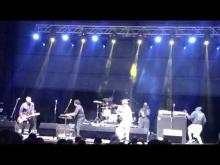 Preview image for the video "2020-02-22 Fishbone @ Rising Vibes Reggae &amp; Ska Festival - Orlando - FL United States (video-3076)".