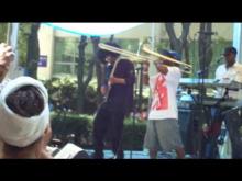 Preview image for the video "2012-06-28 Fishbone @ BAM R&amp;B Festival - Brooklyn - NY United States (video-2371)".