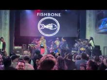 Preview image for the video "2026-04-09 Fishbone @ August Hall - San Francisco - CA United States (video-22294)".