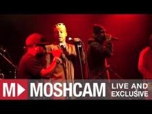 Preview image for the video "2012-03-23 Fishbone @ Independent - San Francisco - CA United States (video-2741)".
