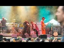 Preview image for the video "2019-08-10 Fishbone @ Oregon Zoo - Portland - OR United States (video-3068)".