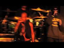 Preview image for the video "2011-02-13 Fishbone @ Abbey Theatre - Durango - CO United States (video-2230)".