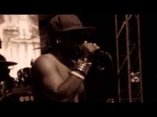 Preview image for the video "2012-06-02 Fishbone @ Benbow Lake State Rec Area - Garberville - CA United States (video-2352)".