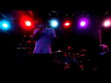 Preview image for the video "2011-12-07 Fishbone @ Firebird - St Louis - MO United States (video-2330)".