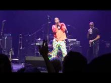 Preview image for the video "2023-11-25 Fishbone @ Fox Theater - Oakland - CA United States (video-20890)".