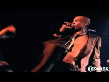 Preview image for the video "2011-05-10 Fishbone @ Le Ferraileur - Nantes - France (video-2443)".