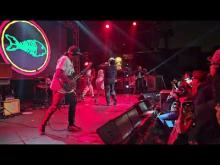 Preview image for the video "2024-12-20 Fishbone @ Garden Amp - Garden Grove - CA United States (video-21665)".