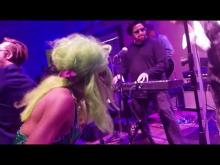 Preview image for the video "2018-01-27 Fishbone @ House of Blues - Anaheim - CA United States (video-3017)".
