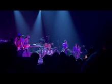 Preview image for the video "2024-05-30 Fishbone @ Hammerstein Ballroom - New York - NY United States (video-21714)".