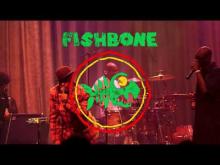 Preview image for the video "2018-12-20 Fishbone @ Regent Theater - Los Angeles - CA United States (video-3098)".