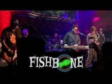 Preview image for the video "2018-12-21 Fishbone @ Great American Music Hall - San Francisco - CA United States (video-20686)".