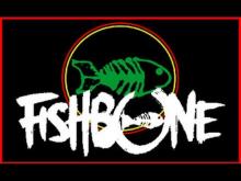 Preview image for the video "2015-10-29 Fishbone @ Jack's Bar - San Antonio - TX United States (video-22436)".