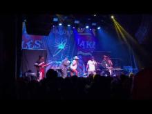 Preview image for the video "2025-08-13 Fishbone @ The Studio At The Factory - Dallas - TX United States (video-22121)".