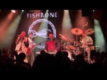 Preview image for the video "2026-09-21 Fishbone @ The Gov - Adelaide - SA Australia (video-22509)".
