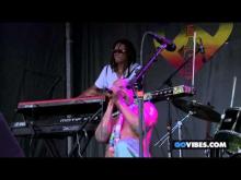 Preview image for the video "2013-07-28 Fishbone @ Gathering of The Vibes - Bridgeport - CT United States (video-2585)".