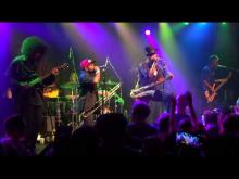 Preview image for the video "2014-09-13 Fishbone @ Independent - San Francisco - CA United States (video-2705)".