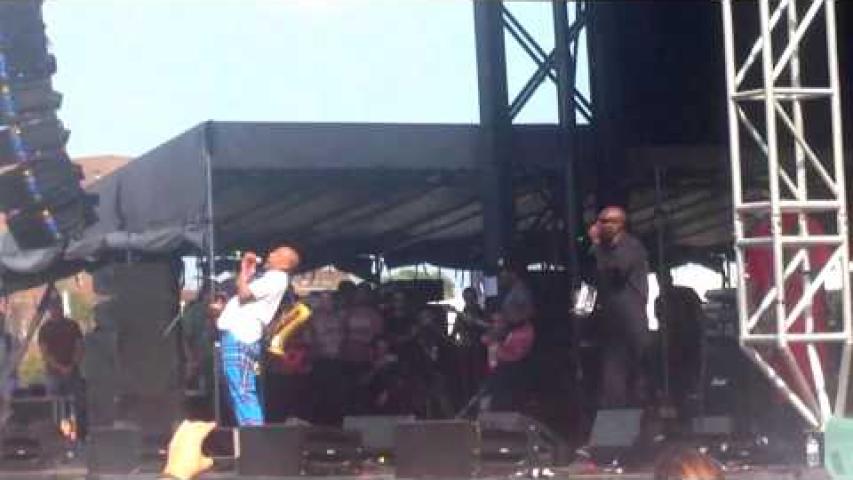 Preview image for the video "2017-09-16 Fishbone @ Riot Fest &amp; Carnival - Chicago - IL United States (video-3036)".