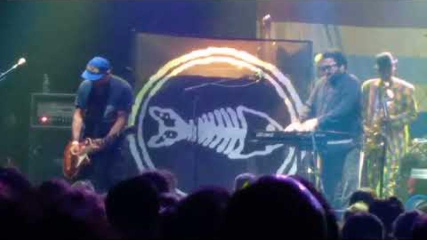 Preview image for the video "2023-08-18 Fishbone @ Capitol Theater - Port Chester - NY United States (video-20596)".
