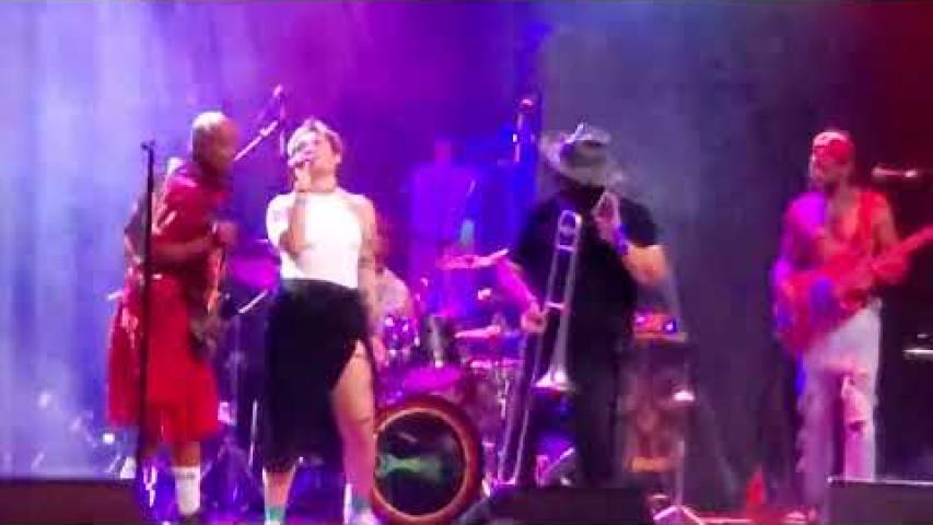 Preview image for the video "2025-08-15 Fishbone @ The Pageant - Saint Louis - MO United States (video-22134)".