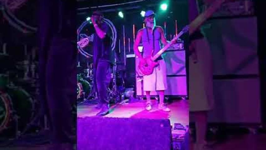 Preview image for the video "2023-08-23 Fishbone @ Magic Stick - Detroit - MI United States (video-20641)".