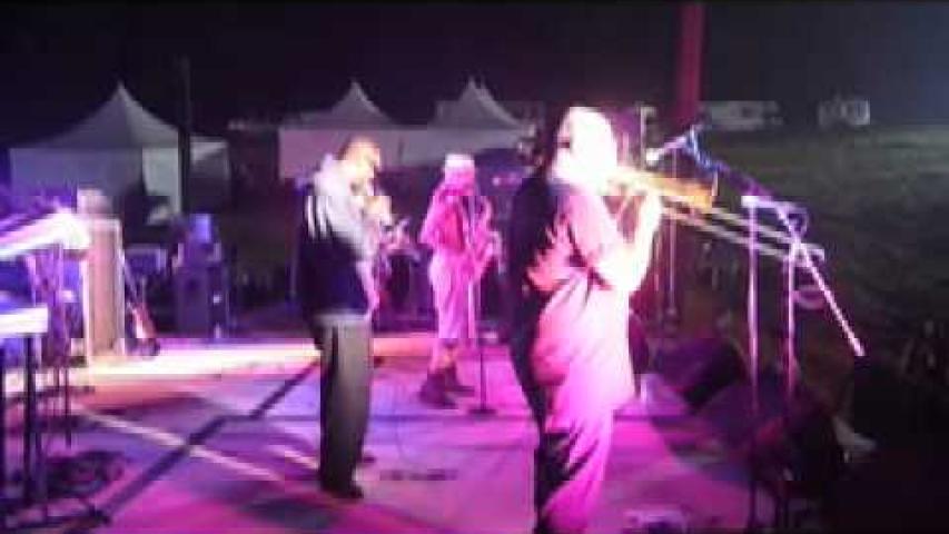 Preview image for the video "2010-06-25 Fishbone @ Skatopia - American Skate Festival - Rutland - OH United States (video-2133)".