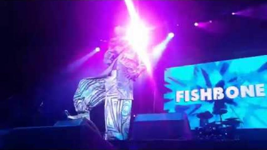 Preview image for the video "2017-09-02 Fishbone @ Ska Fest - México City - Mexico (video-3046)".