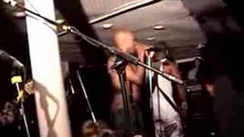 Preview image for the video "2007-05-03 Fishbone @ Rocks Off Boat Cruise - New York - NY United States (video-1877)".